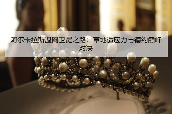 a-er-ka-la-si-wen-wang-wei-mian-zhi-lu-cao-di-shi-ying-li-yu-de-yue-dian-feng-dui-jue-2-399.jpg